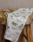 Leggings | Dinosaurig